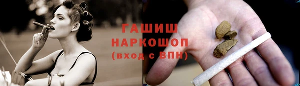 гашик Переславль-Залесский