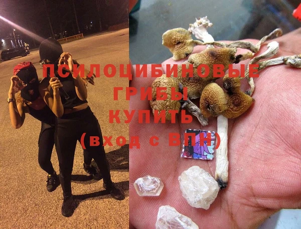 PSILOCYBIN Армянск