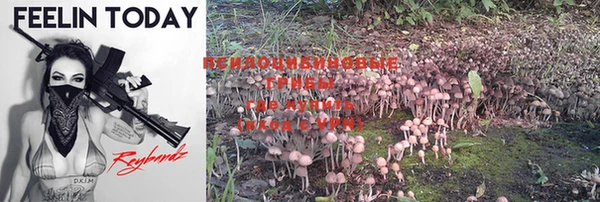 PSILOCYBIN Армянск