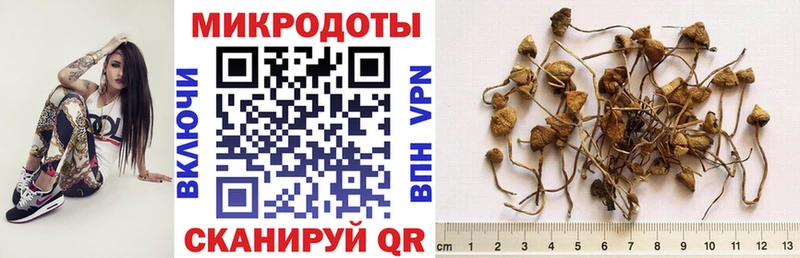 дарнет шоп OMG сайт Галлюциногенные грибы мухоморы Арск